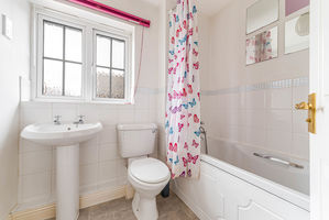 Photo 11- click for photo gallery